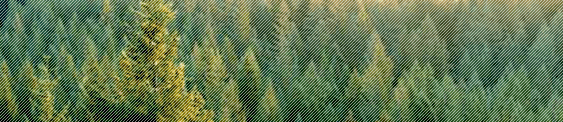 Medi ambient